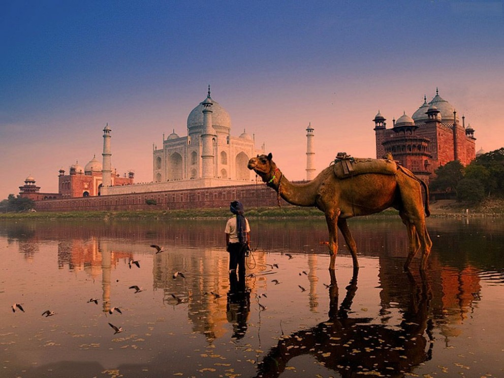 Taj Mahal with Camal